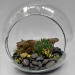 Kit Catui DIY 20 Sin Asa