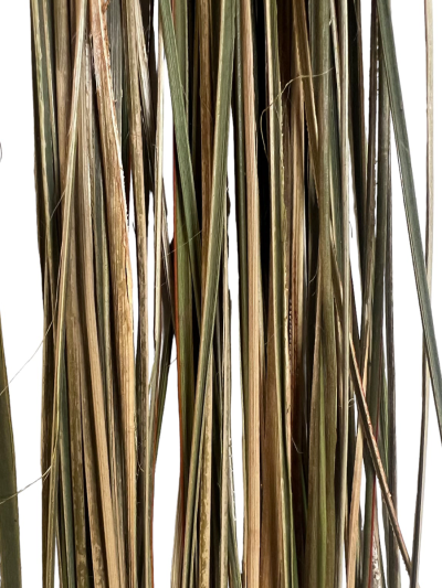 Fibra Pita (Manila O Ñocha)