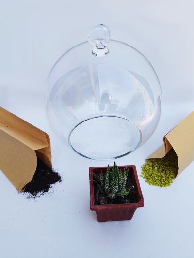 Kit Catui DIY 20 Con Asa