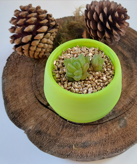 Suculenta Mini Verde - Imagen 2