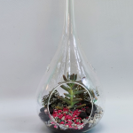 Terrario Gota S